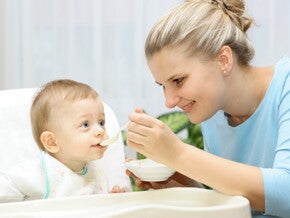 Меню прикорма в январе Меню прикорма в январе