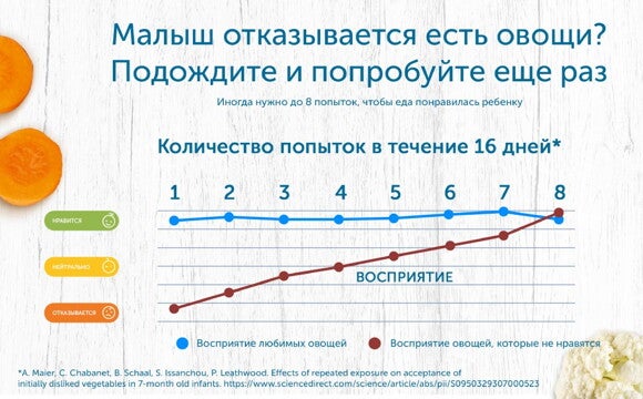 Каким бывает прикорм